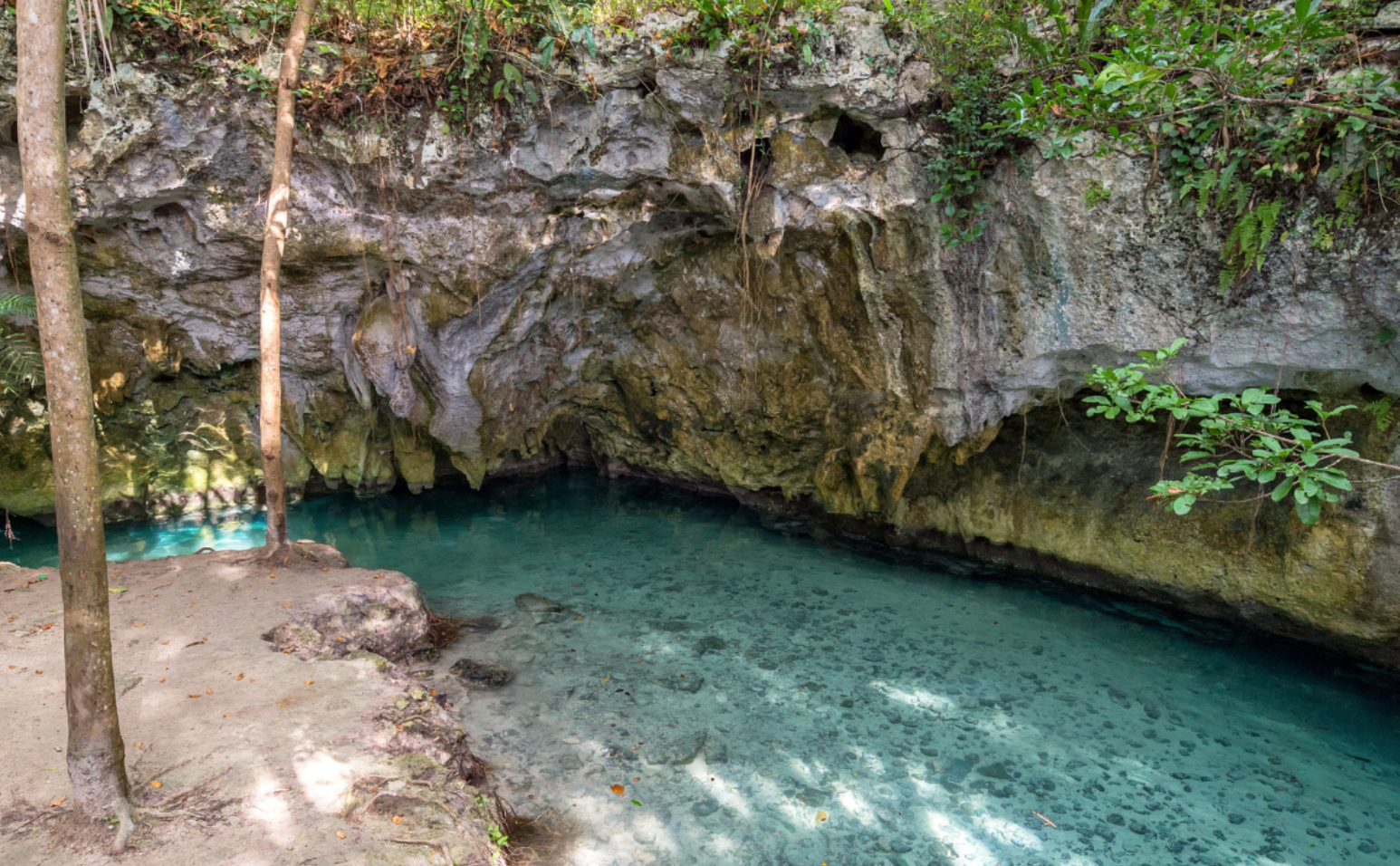 Realizan labores de limpieza en cenotes en Yucatán